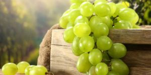 Fresh Green Grapes