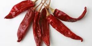 334 Chilli Pepper