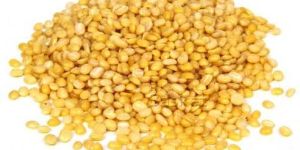 Moong Dal