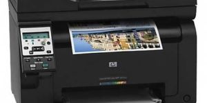 HP Printer (M175)