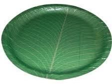 Green Buffet Plates