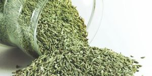 Fennel Seeds