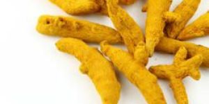 Finger Turmeric