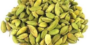 Cardamom