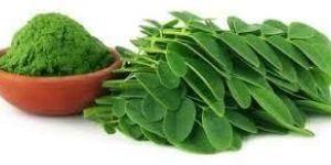 Moringa Leaf Powder