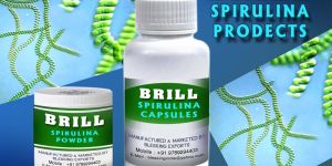Brill Spirulina Products