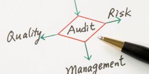 Auditing and Assurance Services