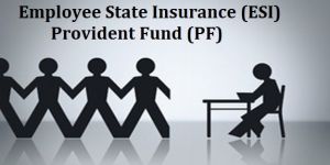 PF & ESIC Registration Services