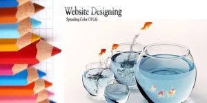 Website Designing