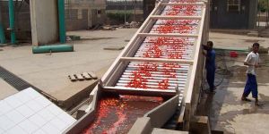 Tomato Processing Plant
