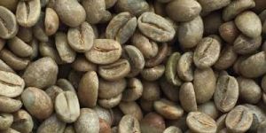 Arabica Cherry B
