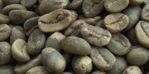 Arabica Plantation AB