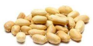Groundnut Kernels