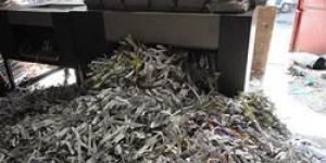 Rental Shredding Machine