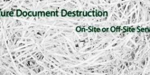 on Site Documents Destruction Service
