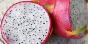 Fresh Dragon Fruit