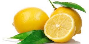 Fresh Lemon