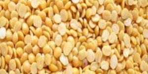 Indian Pulses