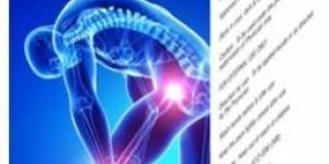 Yufi-Ortho Joints Pain Oil