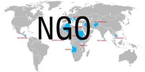 NGO Services