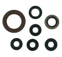 Oil Seal Kit
