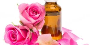 Rose Geranium Oil