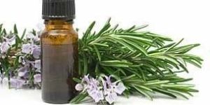 Rosemary Oil