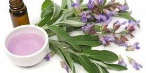Sage Oil