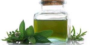 Spearmint Oil