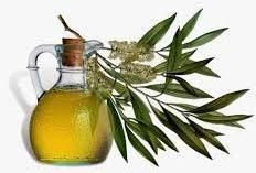 Tea Tree Oil