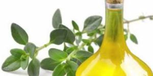 Thyme Oil