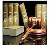 Company Law Consultancy Services