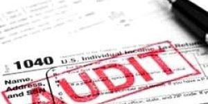 Statutory Audit Assurance Services