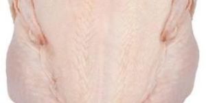 Frozen Chicken Griller