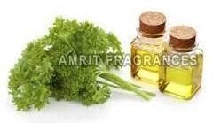 Parsley Oil