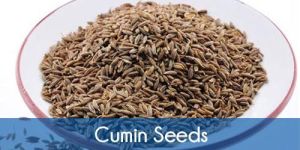 Cumin Seed