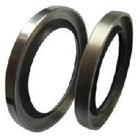 Rotary Seals