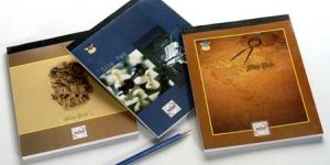 PSP-02 Pride Slip Pads