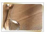 Miscellaneous Additives