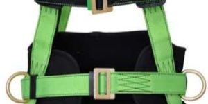 Body Harness