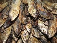 Dried Fish
