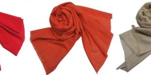 Pashmina Shawls , Scarf