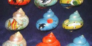 Painted Sea Shells