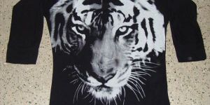 Mens Full Sleeves T-Shirt