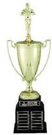 Brass Plated Sports Cup