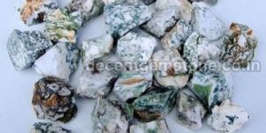 Tree Agate Rough Stones