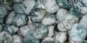 Tree Agate Tumbled Stones