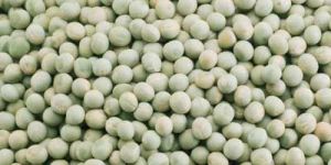 Peas