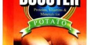 Booster Potato