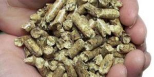 Oil Seeds Extraction